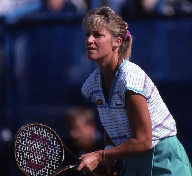 的成熟组织 的成熟组织